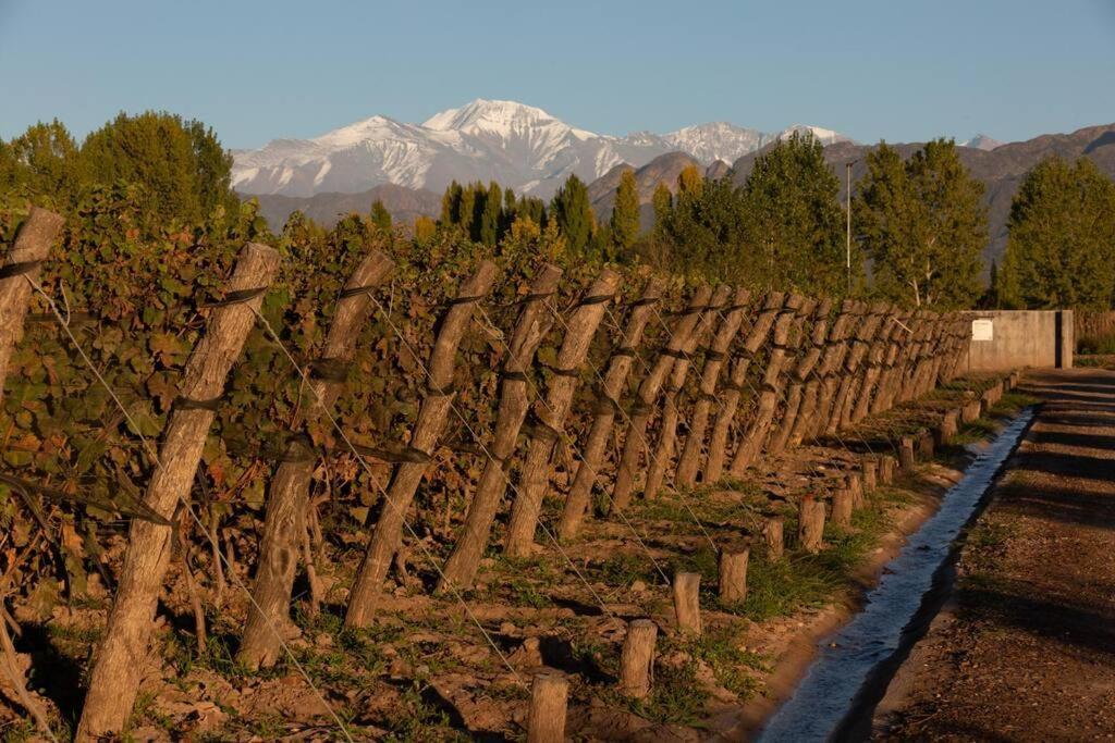 Bodega Durigutti Family Winemakers Las Compuertas