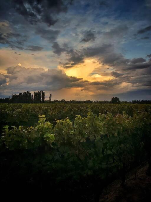 Holiday home Bodega Durigutti Family Winemakers Las Compuertas